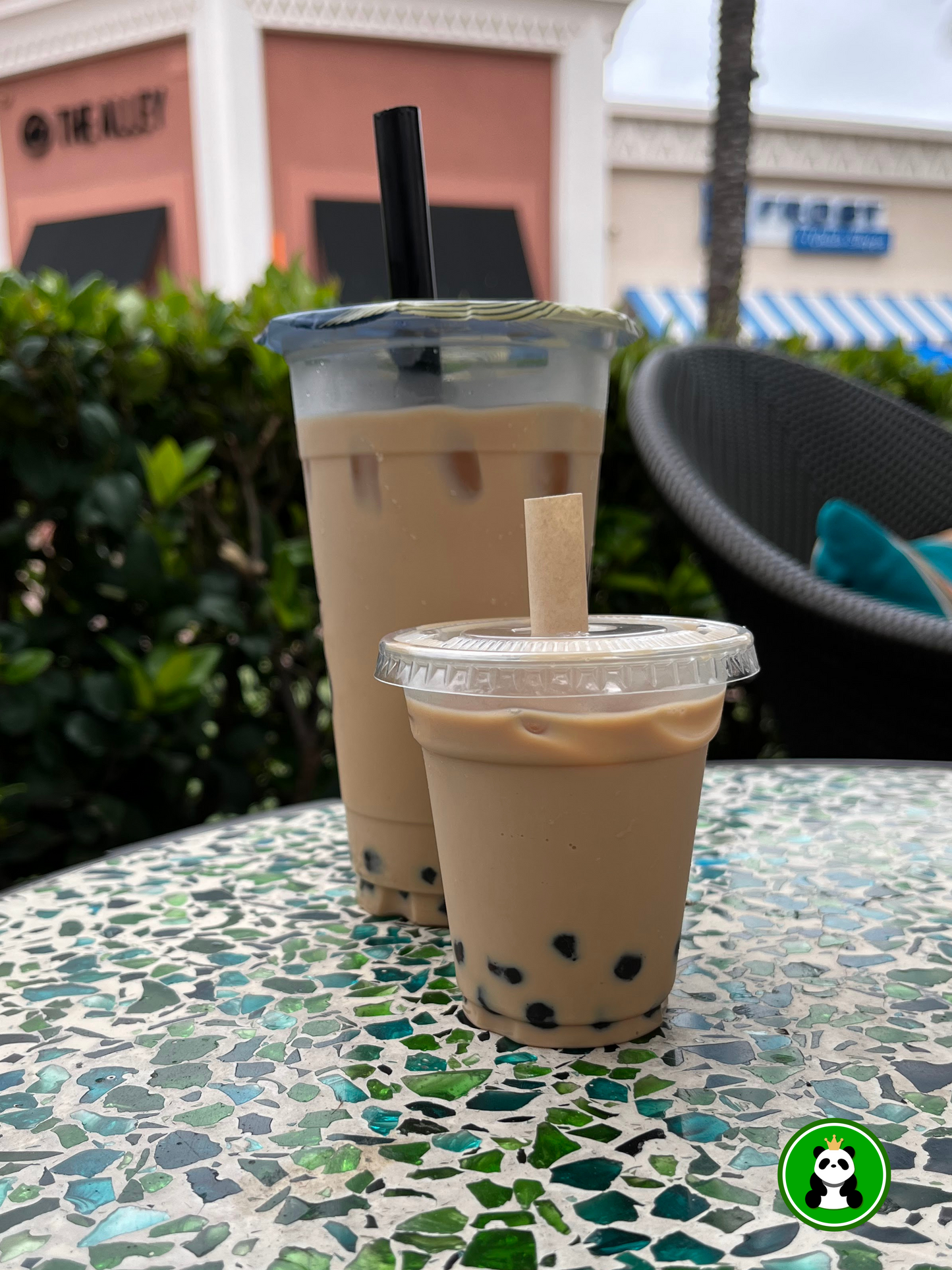 Short Large Boba/Smoothie Straws - Unwrapped