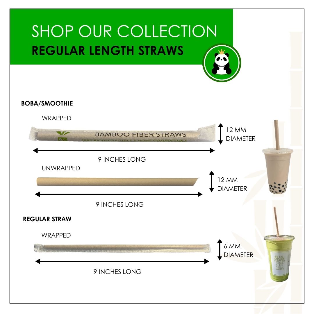 Large Boba/Smoothie Straws