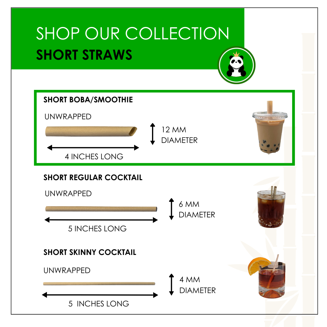 Short Large Boba/Smoothie Straws - Unwrapped
