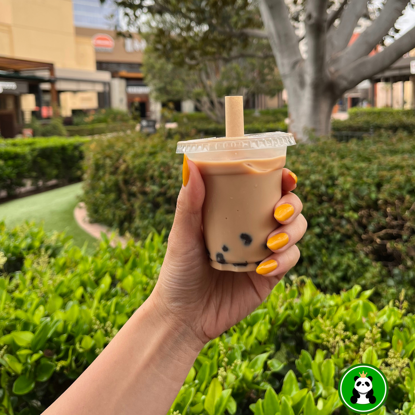 Short Large Boba/Smoothie Straws - Unwrapped