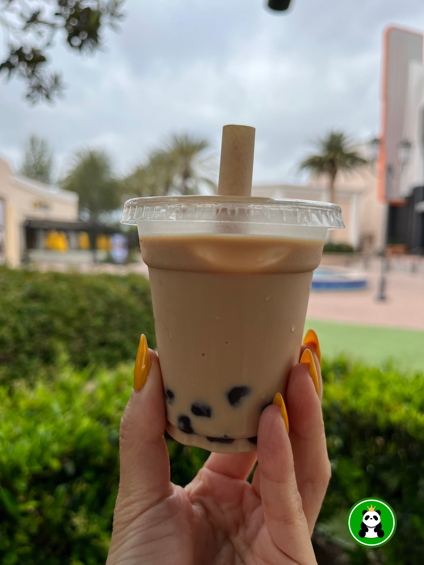 Short Large Boba/Smoothie Straws - Unwrapped