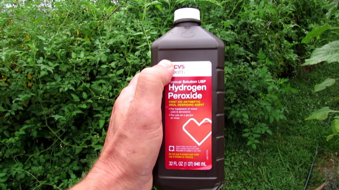Out Of Bleach? Try Hydrogen Peroxide