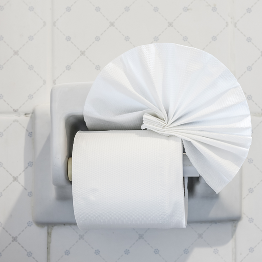 Toilet Paper Mystery
